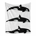 thumbnail image 1 of Sea Animals Soft Flannel Fleece Throw Blanket, 3 Orca Killer Whales in Different Illustration Black and White Style, Cozy Plush for Indoor and Outdoor Use, 60" x 80", Black and White, by Ambesonne, 1 of 5