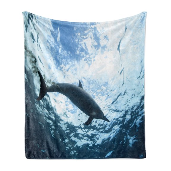 Sea Animals Soft Flannel Fleece Throw Blanket, Bottlenose Dolphin Poops in Ocean Maritime Underwater Aquatic Wildlife Theme, Cozy Plush for Indoor and Outdoor Use, 60" x 80", Blue Grey, by Ambesonne