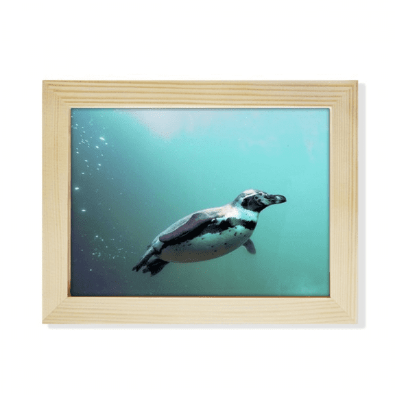 Sea Antarctic Penguin Creature Science Nature Desktop Photo Frame Picture Art Decoration Painting 6x8 inch