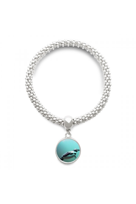 Sea Antarctic Penguin Creature Science Nature Sliver Bracelet Pendant Jewelry Chain Adjustable Bangle