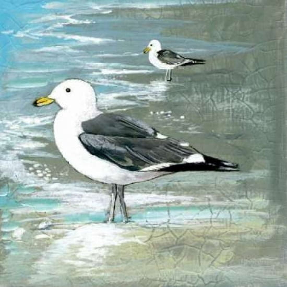 Sea Birds I Canvas Art - Gregory Gorham (24 x 24)