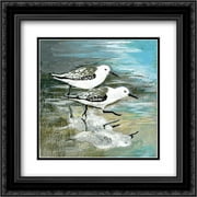 Sea Birds II 2x Matted 20x20 Black Ornate Framed Art Print by Gorham, Gregory