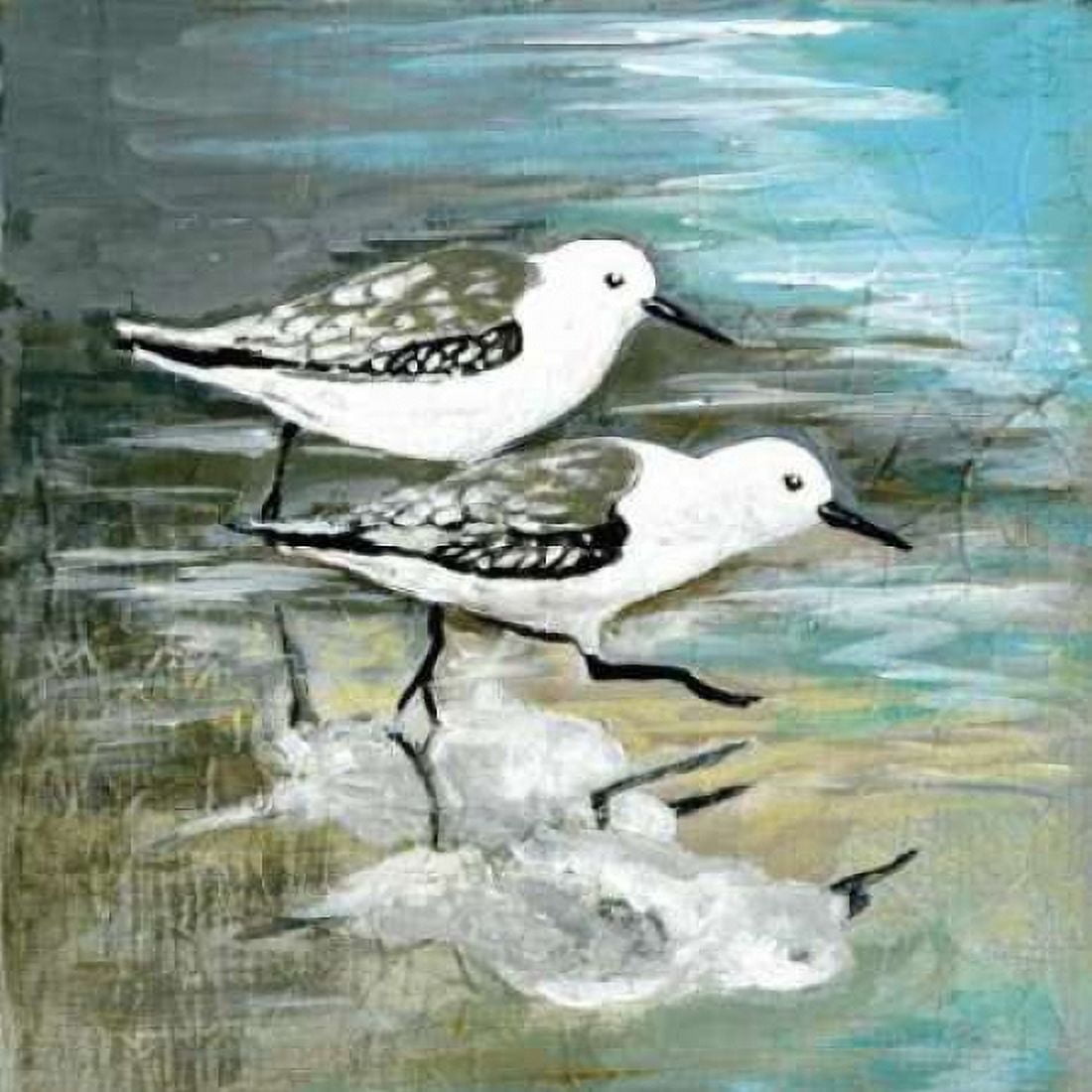 Sea Birds II Canvas Art - Gregory Gorham (24 x 24)