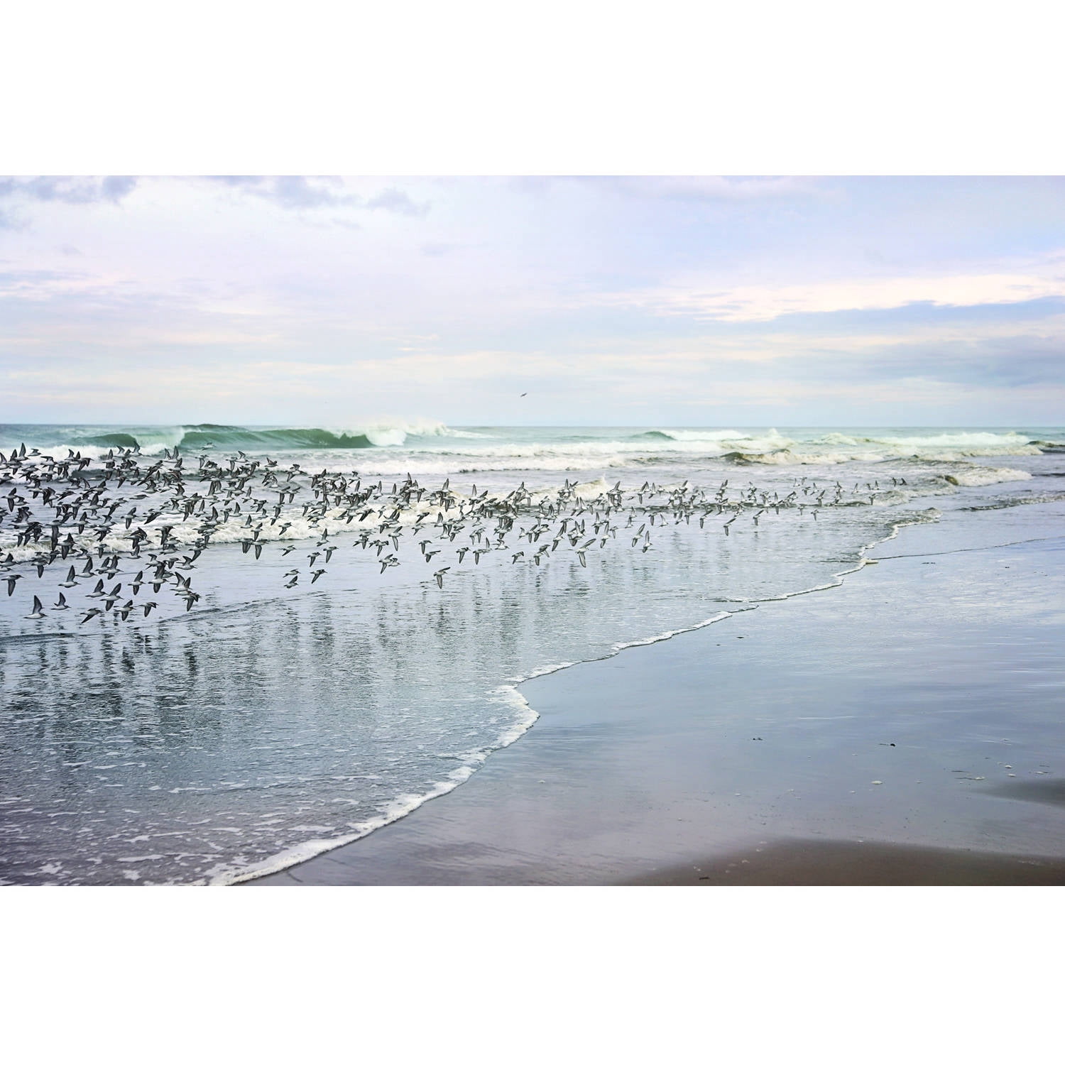"Sea Birds" Painting Print on Wrapped Canvas