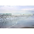 thumbnail image 1 of "Sea Birds" Painting Print on Wrapped Canvas, 1 of 7