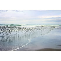 "Sea Birds" Painting Print on Wrapped Canvas