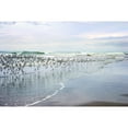 thumbnail image 1 of "Sea Birds" Painting Print on Wrapped Canvas, 1 of 4