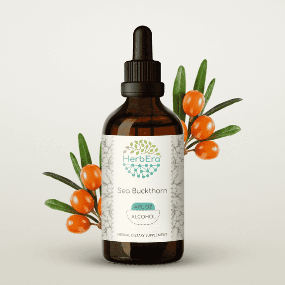 HerbEra Sea Buckthorn Tincture, Herbal Dietary Supplement for Skin and Immune Support, Sea Buckthorn (Hippophae rhamnoides) Dried Fruit Extract, Natural, Alcohol Tincture, Drops 4 oz