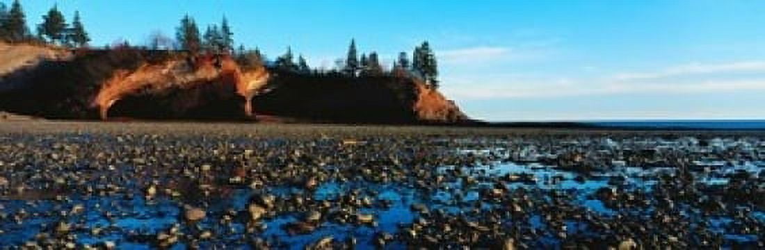 Sea Caves on Rocky Beach Canvas Art - Paul Souders DanitaDelimont (24 x 8)