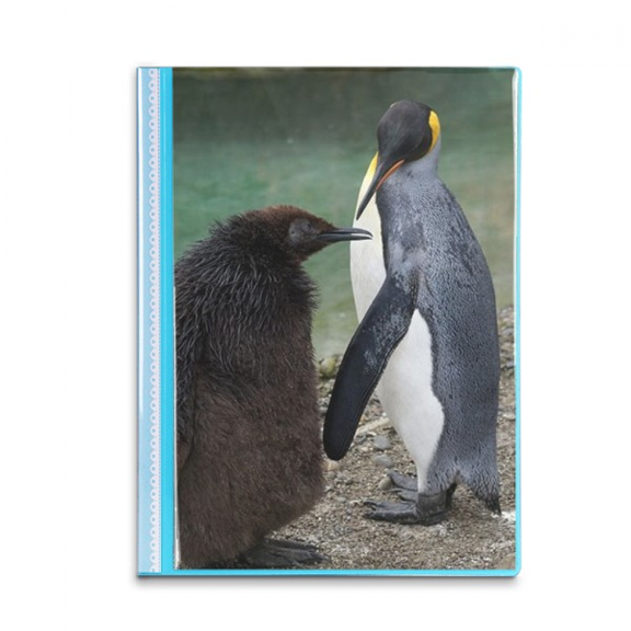 Sea Cold Antarctic Penguin Science Nature Picture Book Sheet Protectors Portfolio Binder Folder
