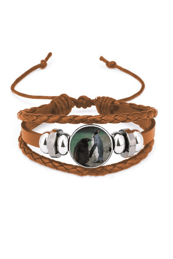 Sea Cold Antarctic Penguin Science Nature Picture Bracelet Wristband Leather Jewelry Ornament