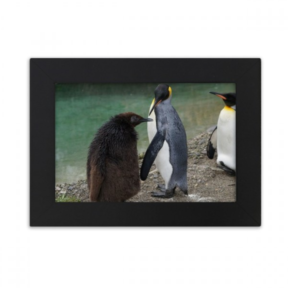 Sea Cold Antarctic Penguin Science Nature Picture Desktop Photo Frame Ornaments Picture Art Painting