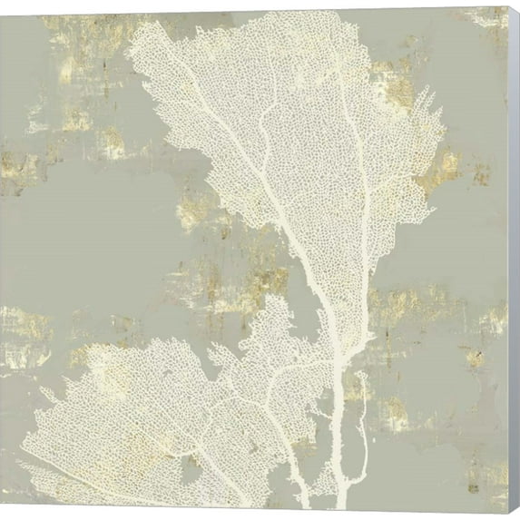 Sea Coral II by Aimee Wilson, Canvas Wall Art, 24W x 24H