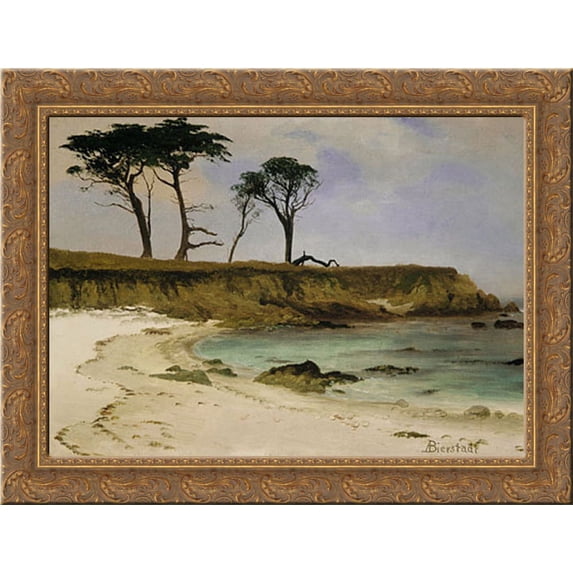 Sea Cove 24x20 Gold Ornate Wood Framed Canvas Art by Bierstadt, Albert