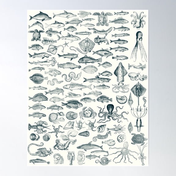 Sea Creatures Poster Wall Art, Modern Wall Decor For Living Room Bedroom, 16x24 UNFRAMED
