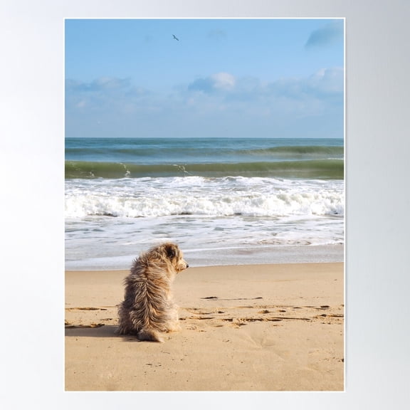 Sea Dog Poster Wall Art, Modern Wall Decor For Living Room Bedroom, 24x36 UNFRAMED