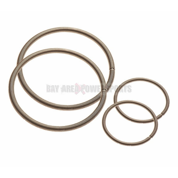 Sea Doo 787 800 947 951 Rave Valve Spring Set 4 Pack GSX GTX XP LRV RX 3D