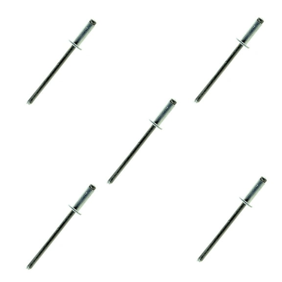 Sea-Doo New OEM Pop Rivet (1/8") Set Of 5, 293150006