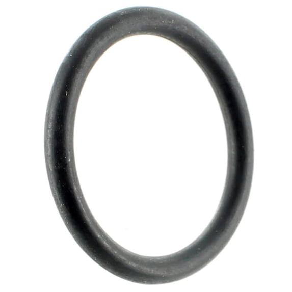 Sea-Doo New OEM Rubber O-Ring, 293300021