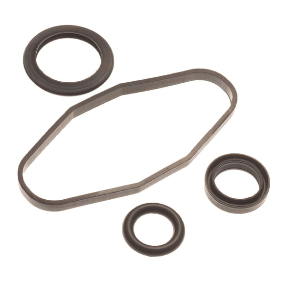 Sea Doo Rave Valve Rebuild Repair Kit All 947 951 DI Models GTX RX XP LRV 3D