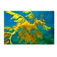 thumbnail image 1 of Sea Dragon' Canvas Art by Mike Jones Photo, 1 of 3