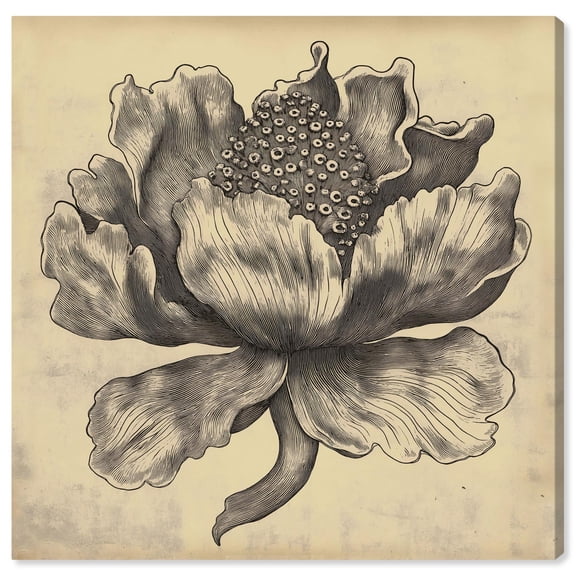 Sea Ebbing Flora Canvas Vintage Botanic Art by Art Remedy, Gallery Wrapped, 20" x 20"