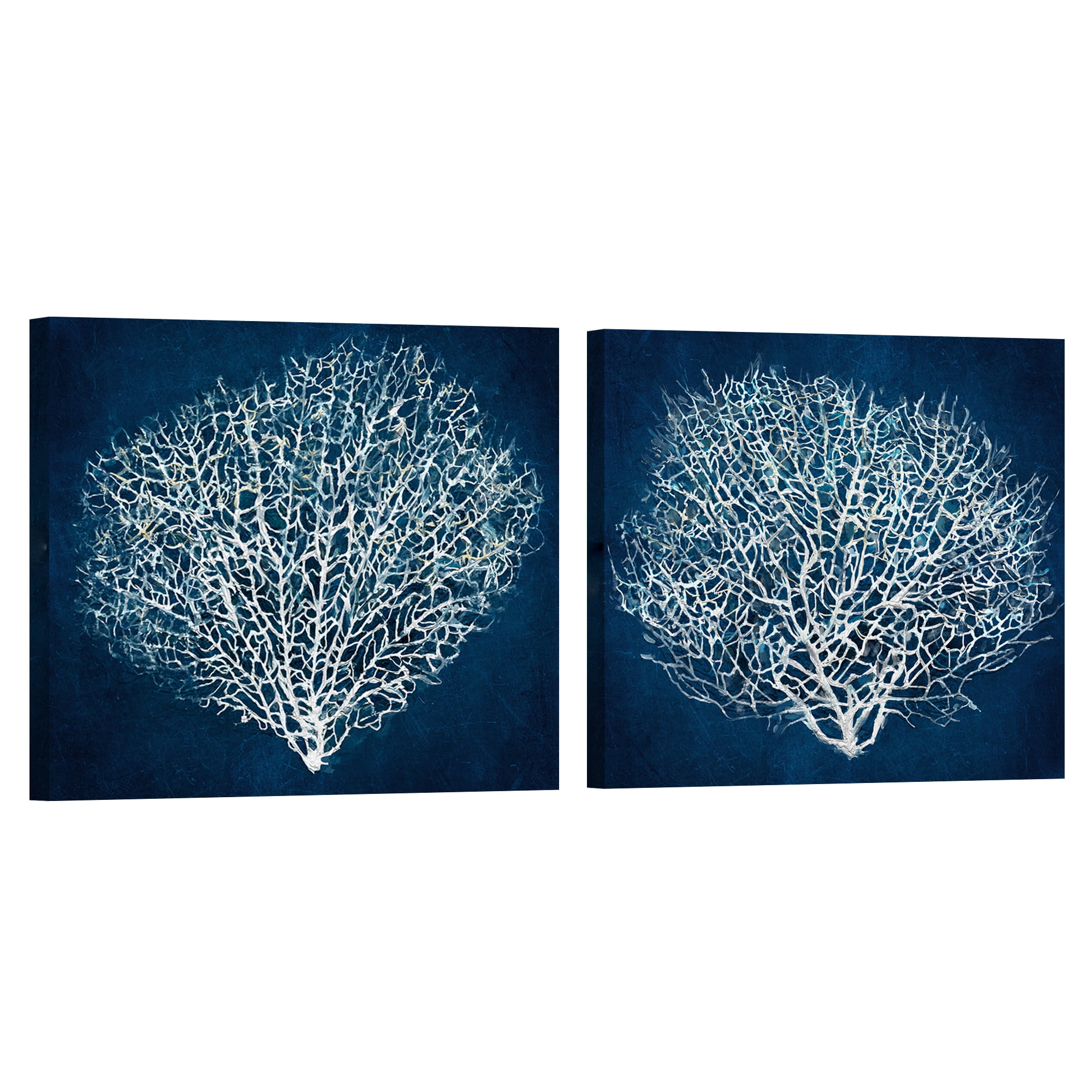 Sea Fan I & II by Studio Arts Set of Canvas Art Prints