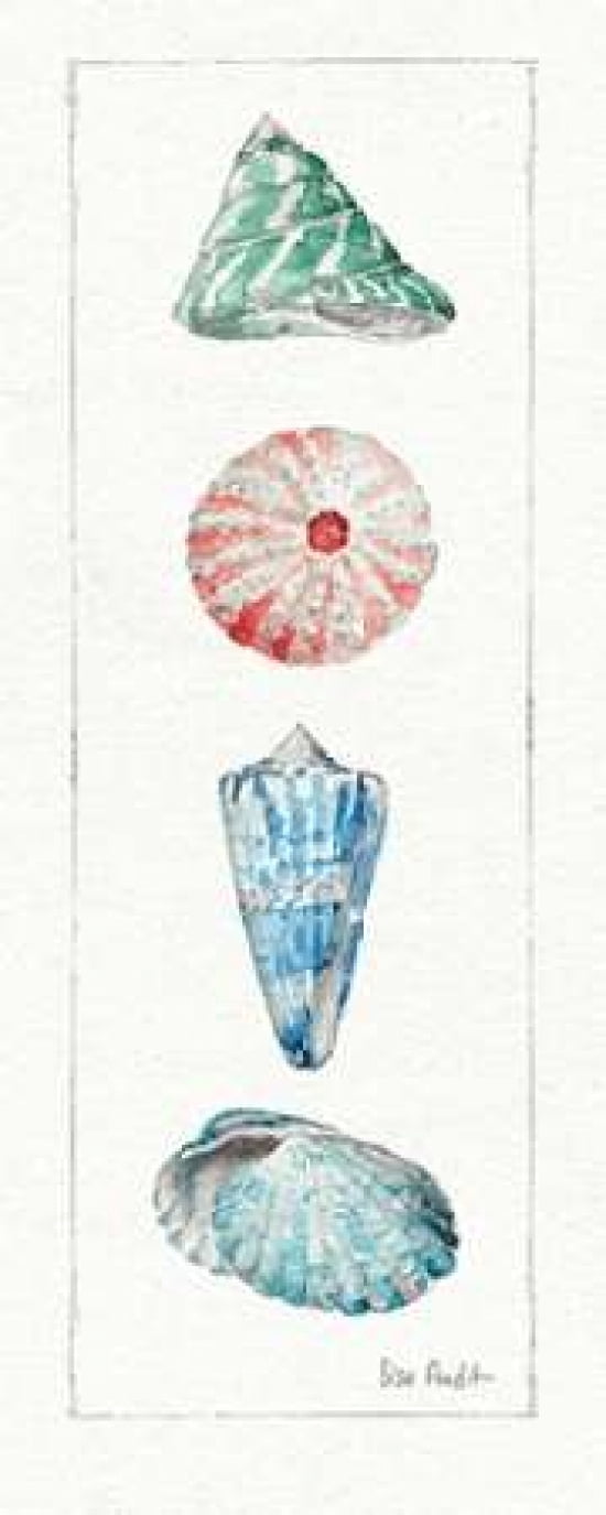 Sea Finds III Canvas Art - Lisa Audit (10 x 20)
