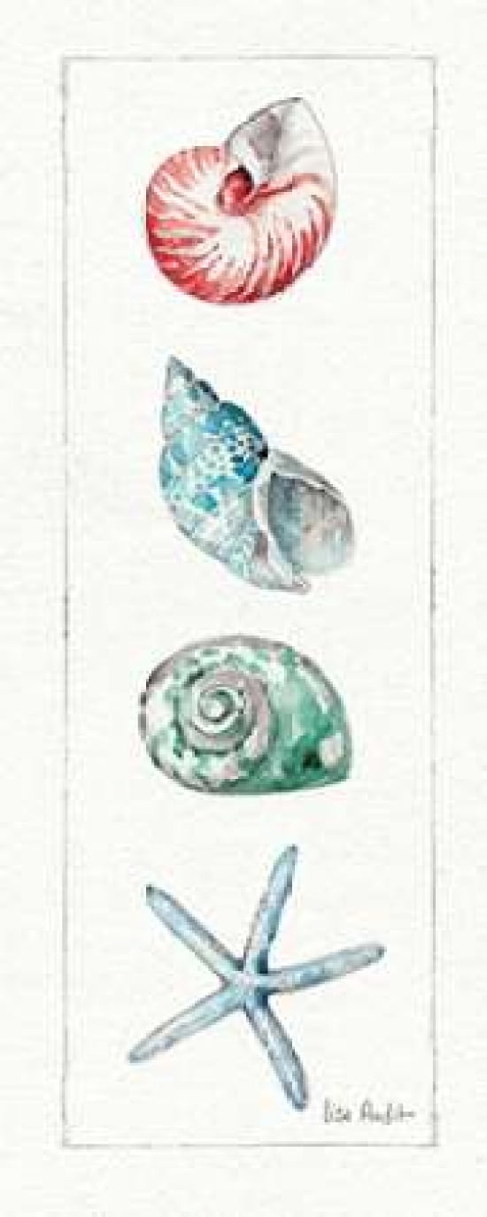 Sea Finds IV Canvas Art - Lisa Audit (10 x 20)