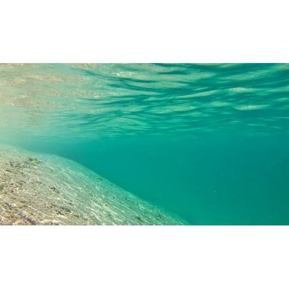 Sea Floor Canvas Art Deep Ocean Picture Wall Art Blue Sea Framed Painting Wall Decor For Home Office Bedroom Reeady to Hang