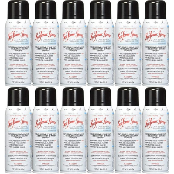 Sea Foam SS-14-12PK Spray Top Engine Cleaner & Lube Aerosol, 14 fl. oz, 12 Pack