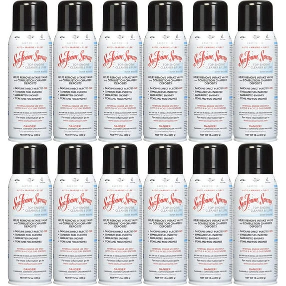 Sea Foam SS-14-12PK Spray Top Engine Cleaner & Lube Aerosol, 14 fl. oz, 12 Pack
