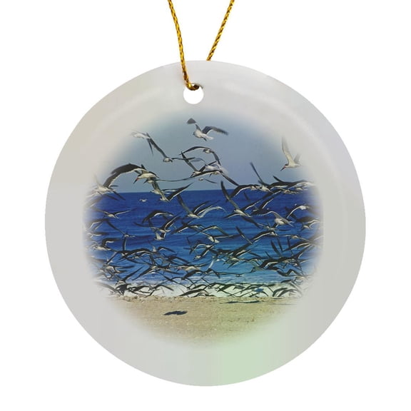 3drose, Sea Gull Birds on American Beach, Jacksonville, Fl - Us10 Gjo0229 - Greg Johnston, Circle Porcelain Ornament