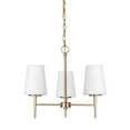 thumbnail image 1 of Sea Gull Lighting 3140403EN3-848 Driscoll - Three Light Chandelier Satin Brass LED Brushed Nickel Finish with Etched/White Glass, 1 of 8