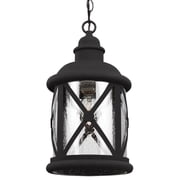 Sea Gull Lighting Lakeview 1-Light Outdoor Pendant in Black
