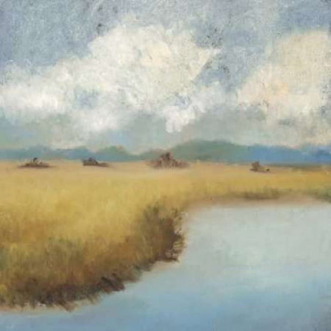 Sea Island Lowcountry Canvas Art - Adam Rogers (24 x 24)