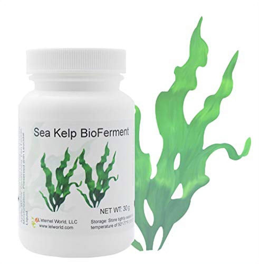 Sea Kelp Bioferment, 30G, Good For Skin And Hair Care (Clear)