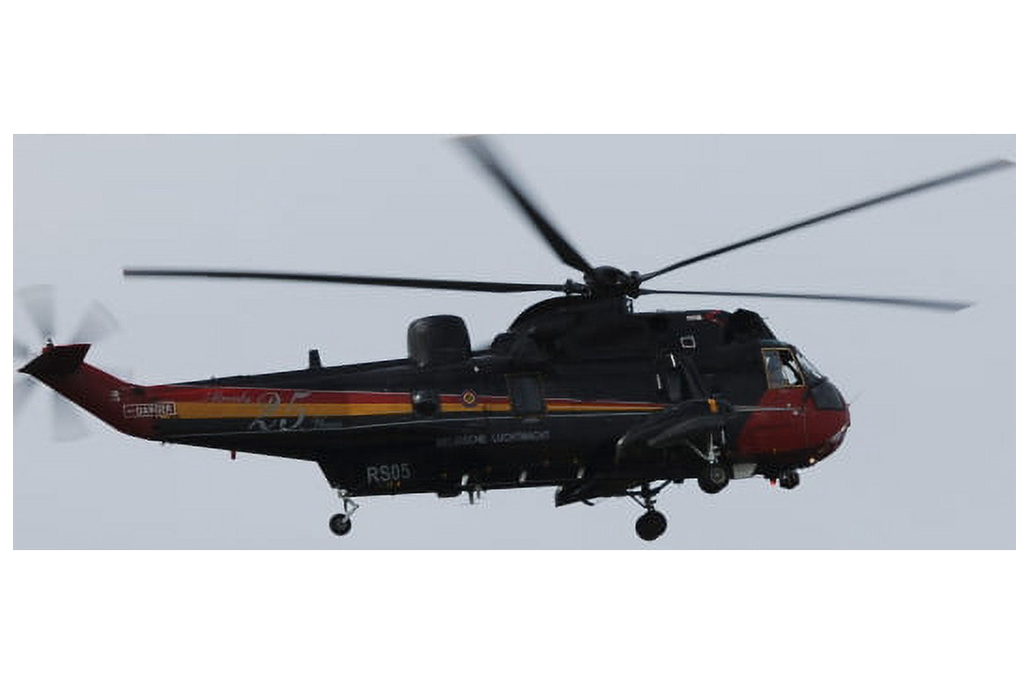 Sea King helicopter of the Belgian Army in flight Canvas Art - Luc De JaegerStocktrek Images (17 x 12)