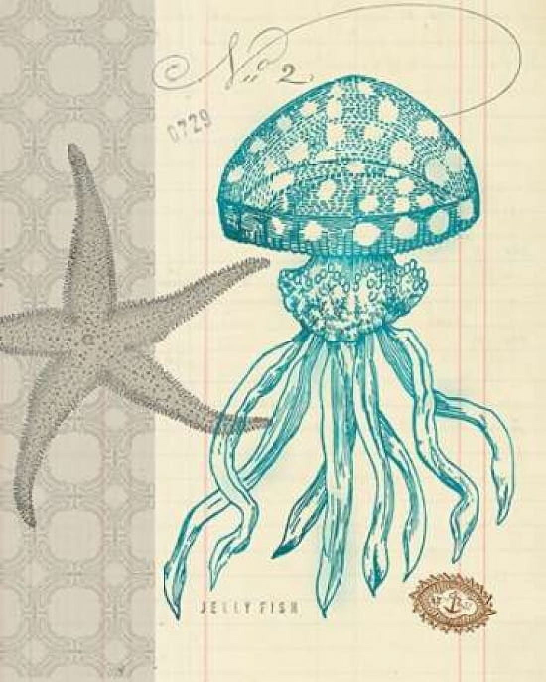 Sea Life 3 Canvas Art - Z Studio (24 x 30)
