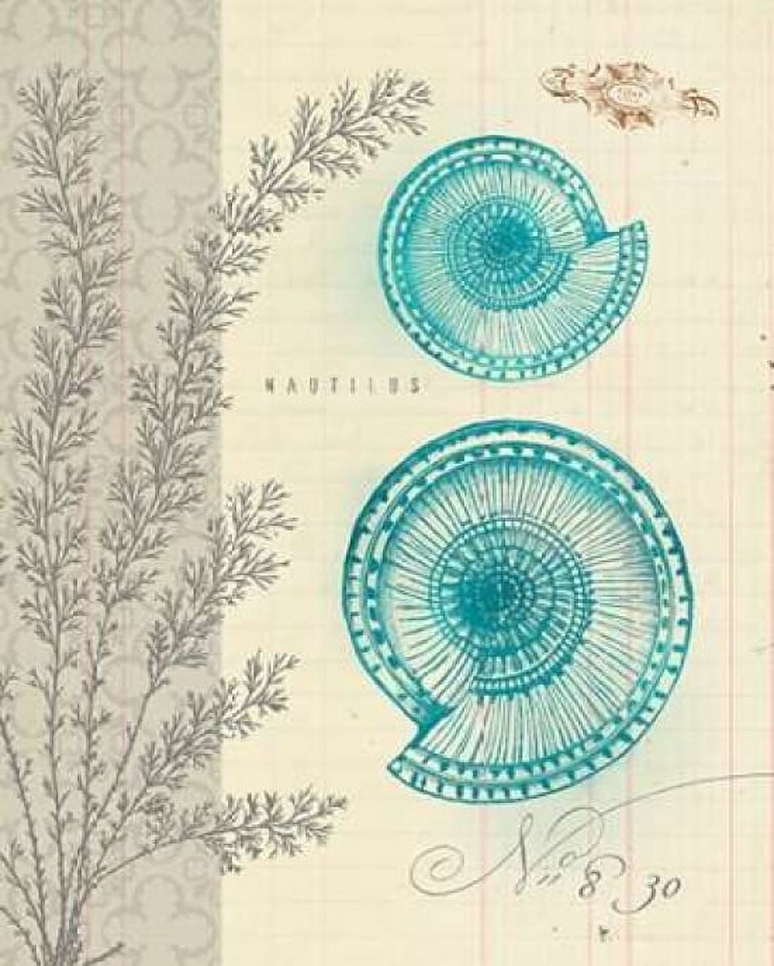 Sea Life 4 Canvas Art - Z Studio (24 x 30)