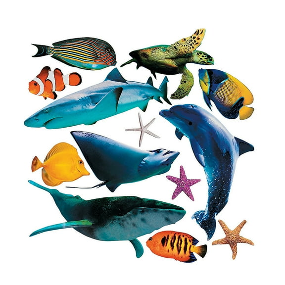 Sea Life Cardboard Cutouts (13Pc) - Party Decor - 13 Pieces