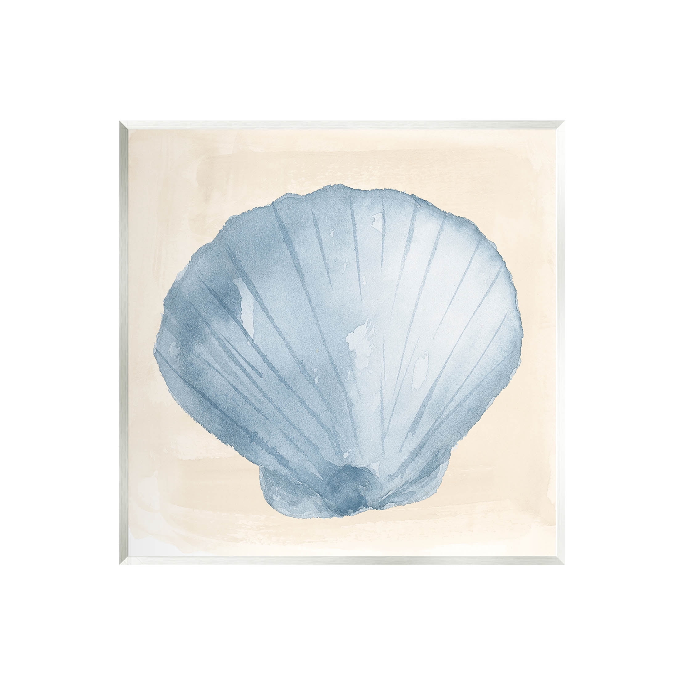 Sea Life Clamshell Composition Animals & Insects Graphic Art Unframed Art Print Wall Art