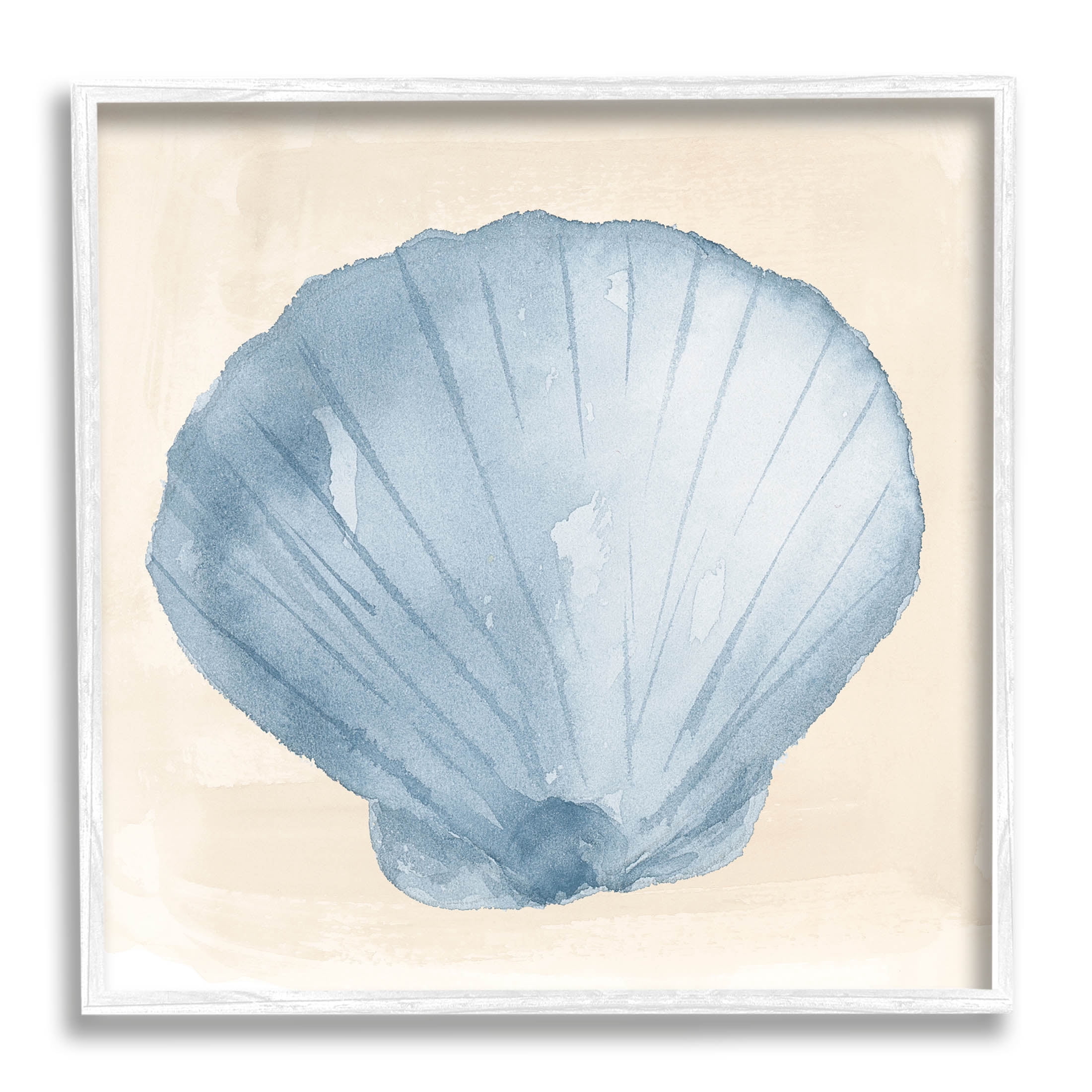 Sea Life Clamshell Composition Animals & Insects Graphic Art White Framed Art Print Wall Art