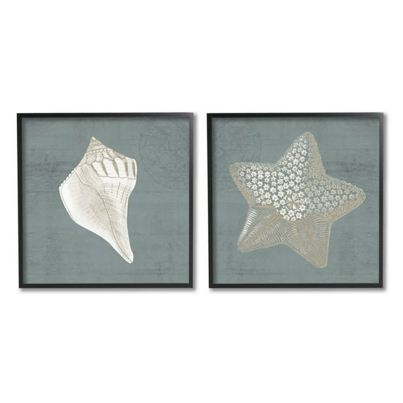 Sea Life Conch Starfish Nautical Animals & Insects Graphic Art Black Framed Art Print Wall Art, Set of 2