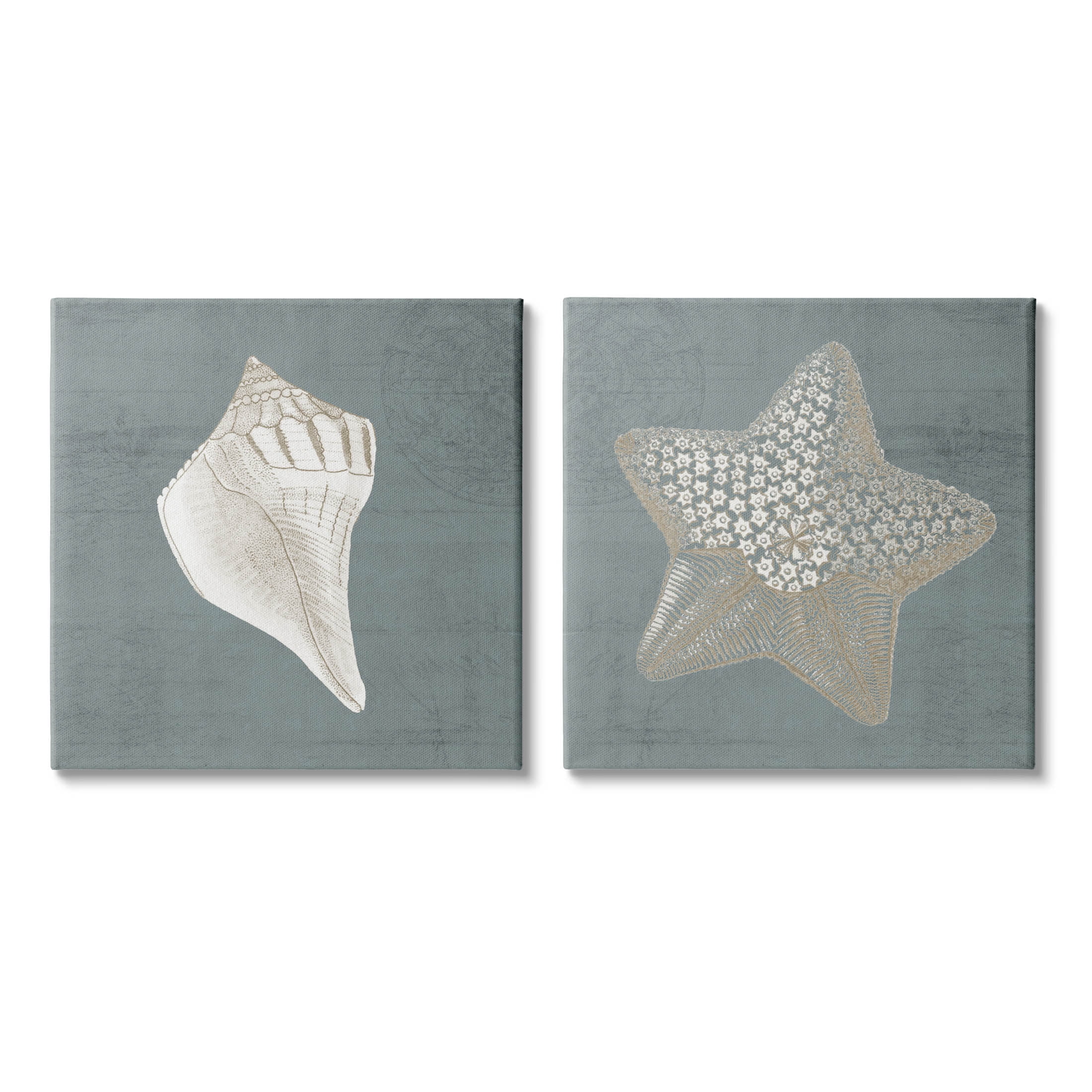 Sea Life Conch Starfish Nautical Animals & Insects Graphic Art Gallery Wrapped Canvas Print Wall Art, Set of 2