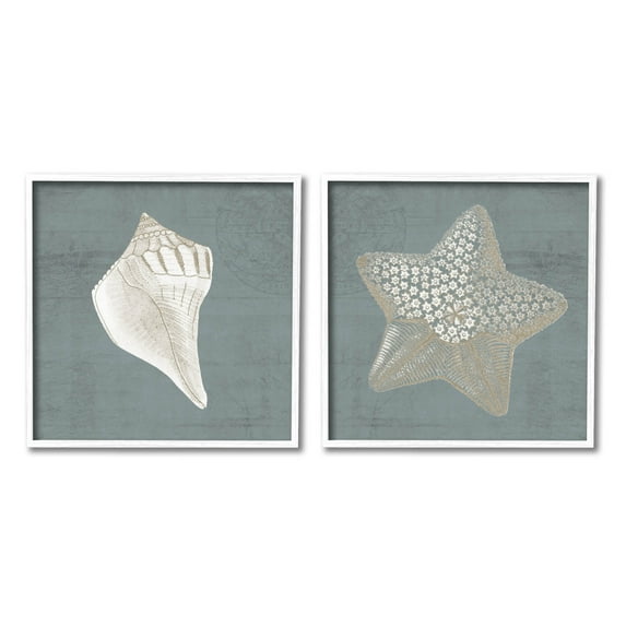 Sea Life Conch Starfish Nautical Animals & Insects Graphic Art White Framed Art Print Wall Art, Set of 2