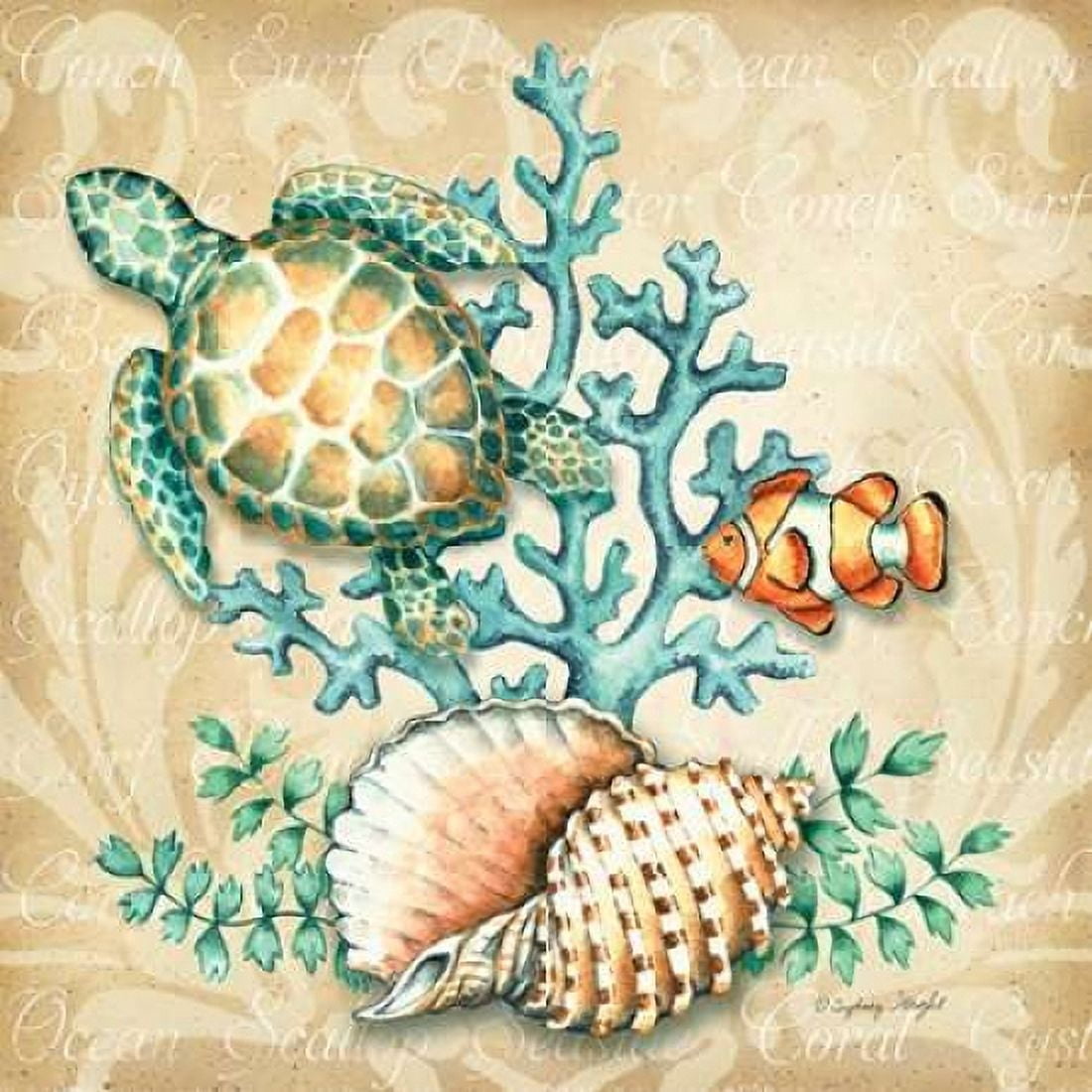 Sea Life I Canvas Art - Sydney Wright (24 x 24)