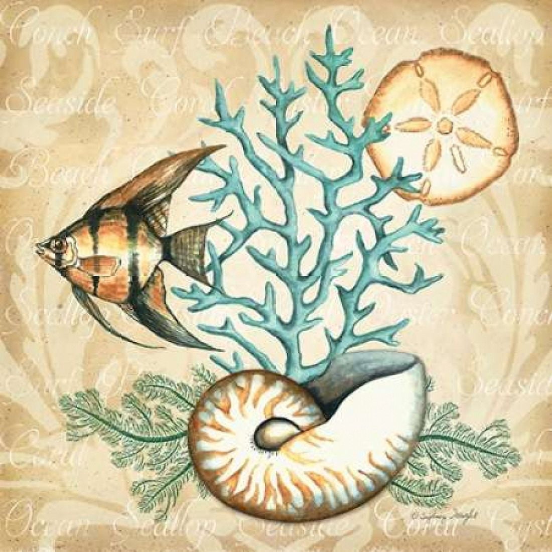 Sea Life IV Canvas Art - Sydney Wright (24 x 24)