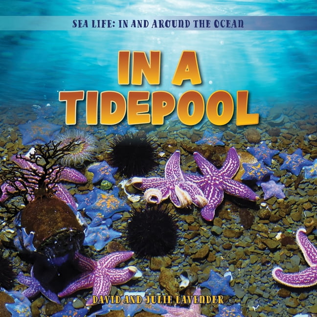 Sea Life: In and Around the Ocean In a Tidepool, (Hardcover)
