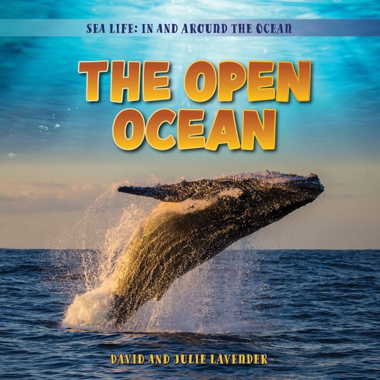 Sea Life: In and Around the Ocean The Open Ocean, (Hardcover)